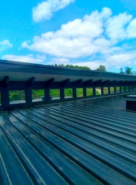 Lamina espejada Panguipulli 1.1